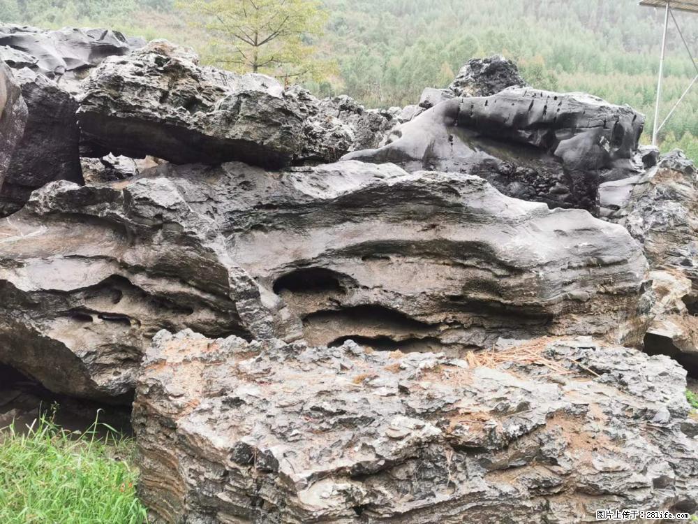 风景石、假山石大量有货，有需要的欢迎联系 - 新手上路 - 玉树生活社区 - 玉树28生活网 ys.28life.net
