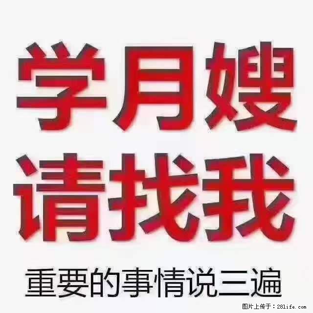为什么要学习月嫂，育婴师？ - 新手上路 - 玉树生活社区 - 玉树28生活网 ys.28life.net