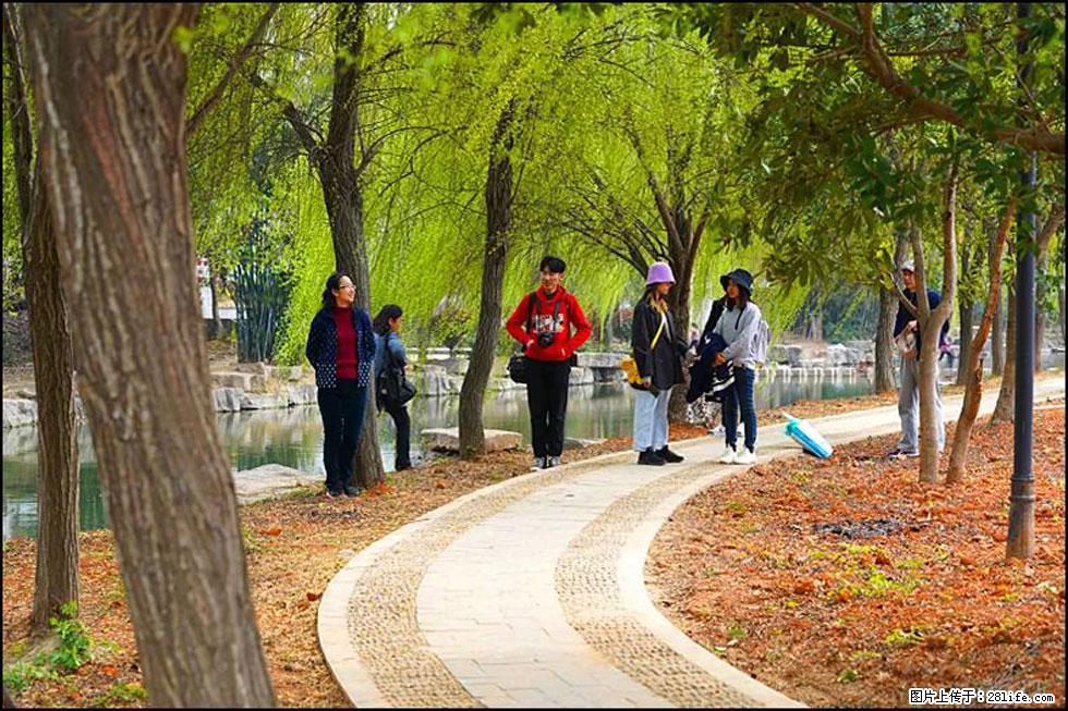【春天，广西桂林灌阳县向您发出邀请！】江口老街又逢春 - 游山玩水 - 玉树生活社区 - 玉树28生活网 ys.28life.net