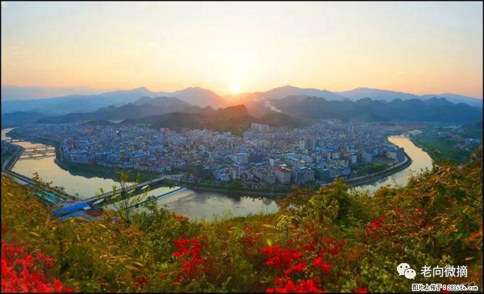 【春天，广西桂林灌阳县向您发出邀请！】登麒麟山，相约映山红 - 游山玩水 - 玉树生活社区 - 玉树28生活网 ys.28life.net