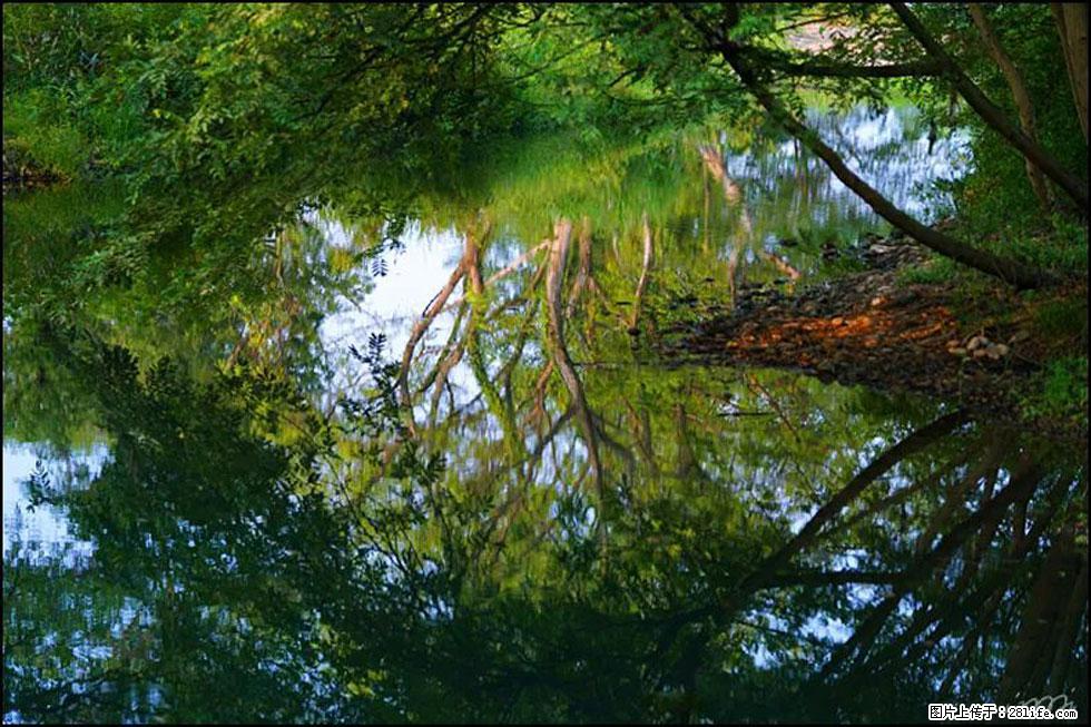 【春天，广西桂林灌阳县向您发出邀请！】熊家寨湿地公园 - 游山玩水 - 玉树生活社区 - 玉树28生活网 ys.28life.net