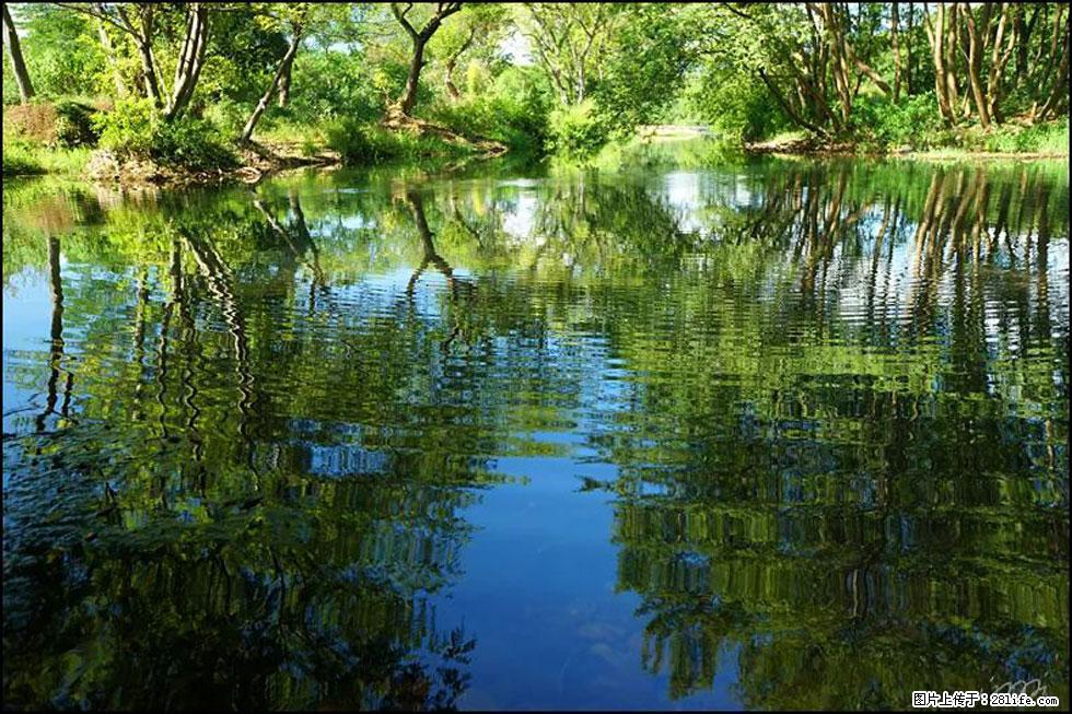 【春天，广西桂林灌阳县向您发出邀请！】熊家寨湿地公园 - 游山玩水 - 玉树生活社区 - 玉树28生活网 ys.28life.net