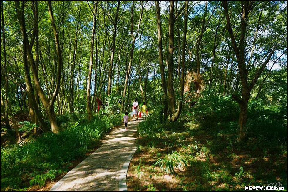 【春天，广西桂林灌阳县向您发出邀请！】熊家寨湿地公园 - 游山玩水 - 玉树生活社区 - 玉树28生活网 ys.28life.net