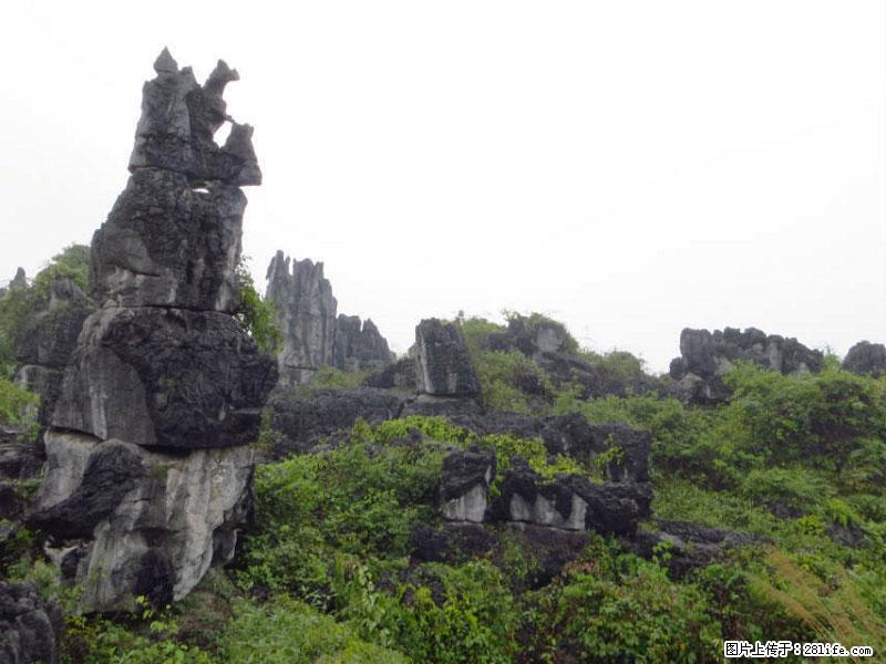桂林旅游名城景点：灌阳文市石林 - 游山玩水 - 玉树生活社区 - 玉树28生活网 ys.28life.net