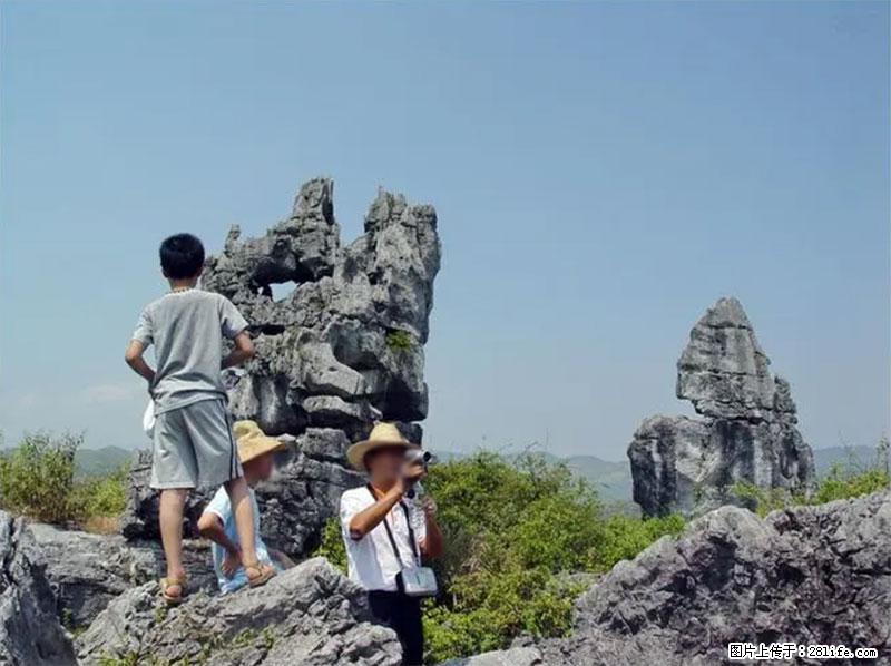 桂林旅游名城景点：灌阳文市石林 - 游山玩水 - 玉树生活社区 - 玉树28生活网 ys.28life.net