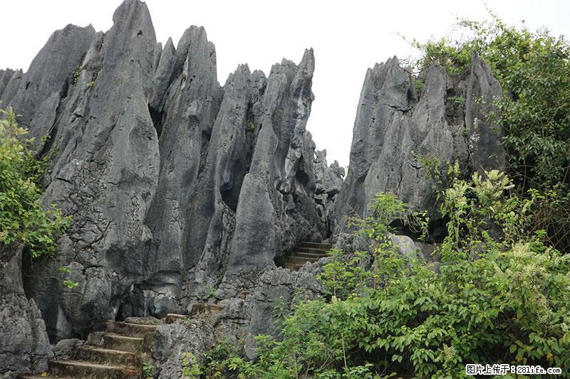 桂林旅游名城景点：灌阳文市石林 - 游山玩水 - 玉树生活社区 - 玉树28生活网 ys.28life.net