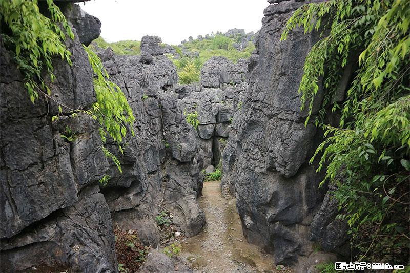 桂林旅游名城景点：灌阳文市石林 - 游山玩水 - 玉树生活社区 - 玉树28生活网 ys.28life.net