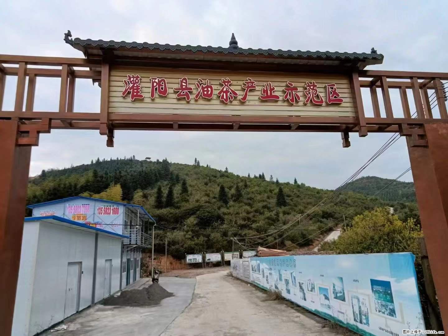 【灌阳县油茶产业示范区】一个有着充实的精神生活的人，对待身外之物自会有一种淡泊的态度 - 美食天地 - 玉树生活社区 - 玉树28生活网 ys.28life.net