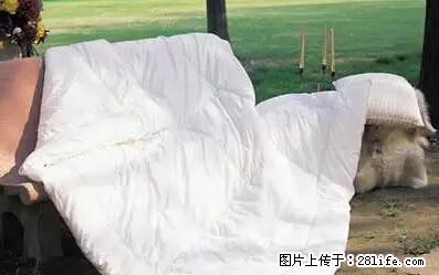 被子有异味？只要这样做，比晒太阳还强100倍！ - 家居生活 - 玉树生活社区 - 玉树28生活网 ys.28life.net