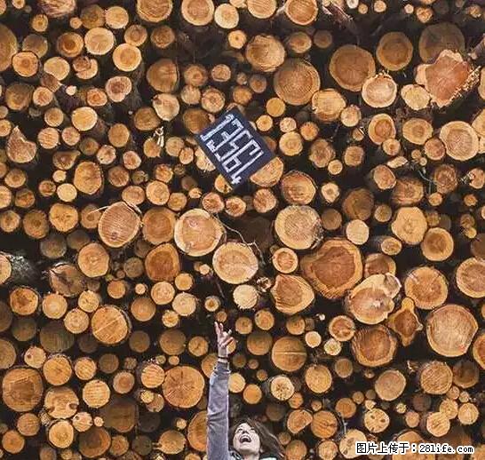 辞掉工作周游世界？现在他们在洗厕所…… - 游山玩水 - 玉树生活社区 - 玉树28生活网 ys.28life.net
