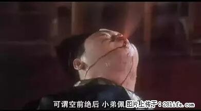 笑癫了！一女的怀孕三年未生，他终于忍不住了... - 娱乐八卦 - 玉树生活社区 - 玉树28生活网 ys.28life.net