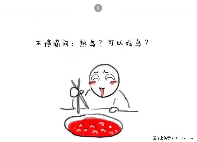 千万不要和这9种哈卵一起吃火锅！ - 美食天地 - 玉树生活社区 - 玉树28生活网 ys.28life.net