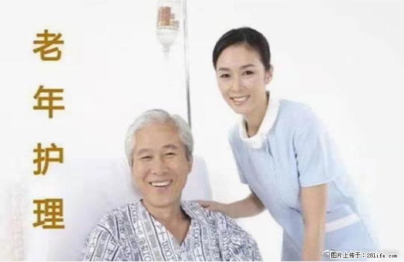 上海国企养老院，星级酒店环境，招聘养老护工 - 职场交流 - 玉树生活社区 - 玉树28生活网 ys.28life.net