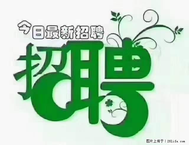 【招聘】产康师 - 职场交流 - 玉树生活社区 - 玉树28生活网 ys.28life.net