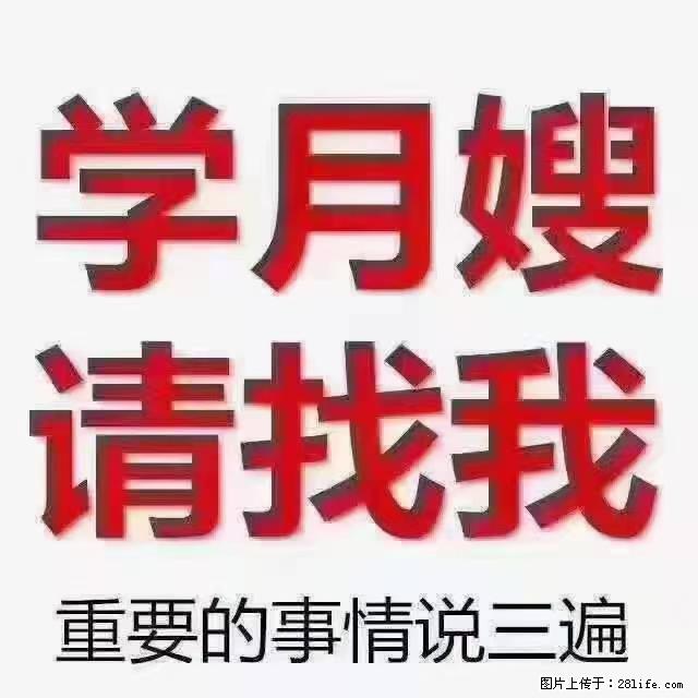 【招聘】月嫂，上海徐汇区 - 职场交流 - 玉树生活社区 - 玉树28生活网 ys.28life.net