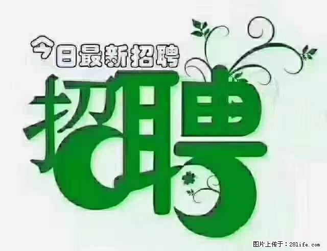 上海青浦区招仓管 - 职场交流 - 玉树生活社区 - 玉树28生活网 ys.28life.net
