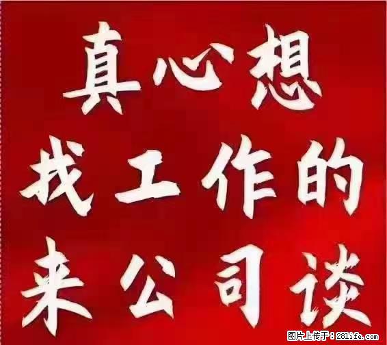 【上海】国企，医院招两名男保安，55岁以下，身高1.7米以上，无犯罪记录不良嗜好 - 职场交流 - 玉树生活社区 - 玉树28生活网 ys.28life.net