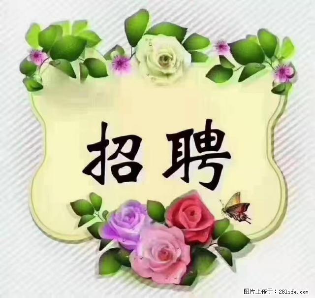 【招聘】住家育儿嫂，上户日期：4月4日，工作地址：上海 黄浦区 - 职场交流 - 玉树生活社区 - 玉树28生活网 ys.28life.net