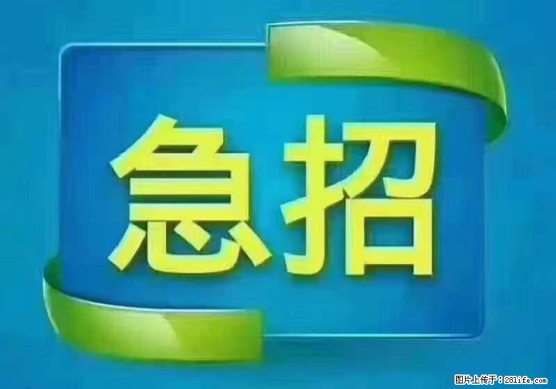 招出纳8000元/月，无证可以，要有相关经验，上海五险一金，包住，包工作餐，做六休一。 - 职场交流 - 玉树生活社区 - 玉树28生活网 ys.28life.net
