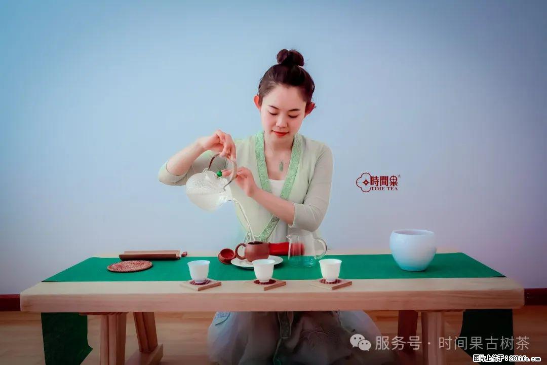 时间果百年古树龙珠普洱生茶 - 购物交流 - 玉树生活社区 - 玉树28生活网 ys.28life.net