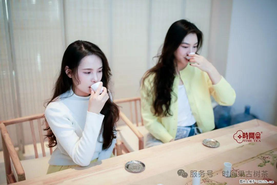 时间果百年古树龙珠普洱生茶 - 购物交流 - 玉树生活社区 - 玉树28生活网 ys.28life.net