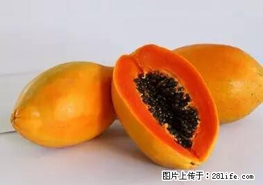 晕车、脚气、牙齿变黄、皮肤粗糙？学会这些三分钟搞定！ - 玉树生活资讯 - 玉树28生活网 ys.28life.net