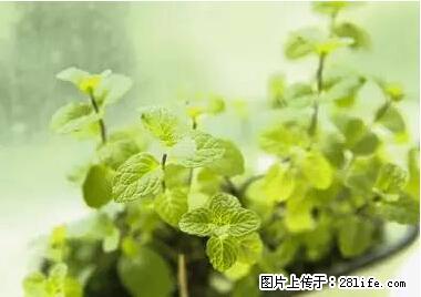 晕车、脚气、牙齿变黄、皮肤粗糙？学会这些三分钟搞定！ - 玉树生活资讯 - 玉树28生活网 ys.28life.net