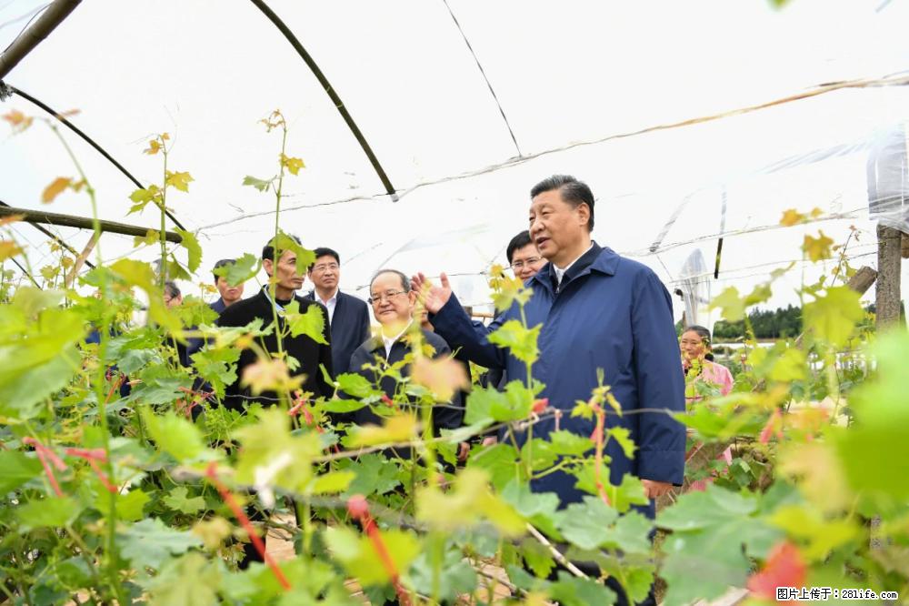 习近平赴广西考察调研 - 玉树生活资讯 - 玉树28生活网 ys.28life.net