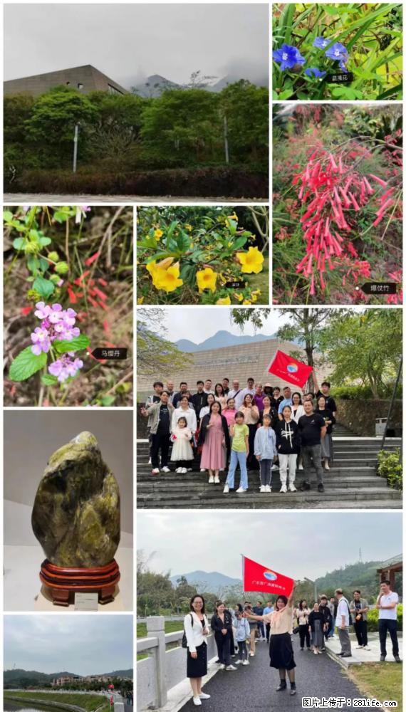 “粤灌文化 美好生活”油茶文化主题活动在广东深圳成功举办 - 玉树生活资讯 - 玉树28生活网 ys.28life.net