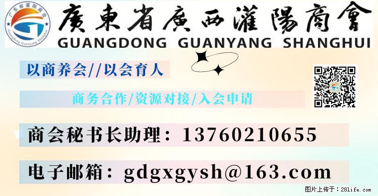 “粤灌文化 美好生活”油茶文化主题活动在广东深圳成功举办 - 玉树生活资讯 - 玉树28生活网 ys.28life.net
