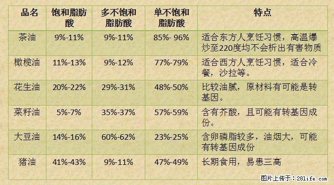 揭秘茶油的5大核心营养成分！被称为人体健康的“守护盾”！ - 玉树生活资讯 - 玉树28生活网 ys.28life.net