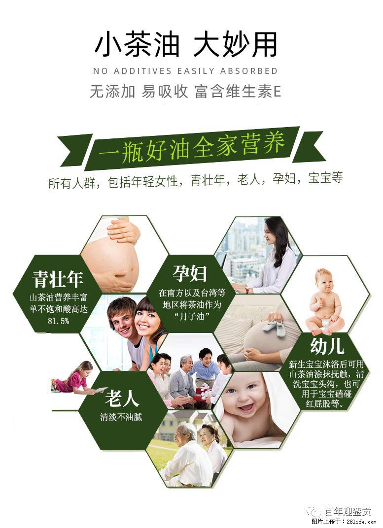世界没有真相，只有认知，最好的食用油是中国的山茶油！ - 玉树生活资讯 - 玉树28生活网 ys.28life.net
