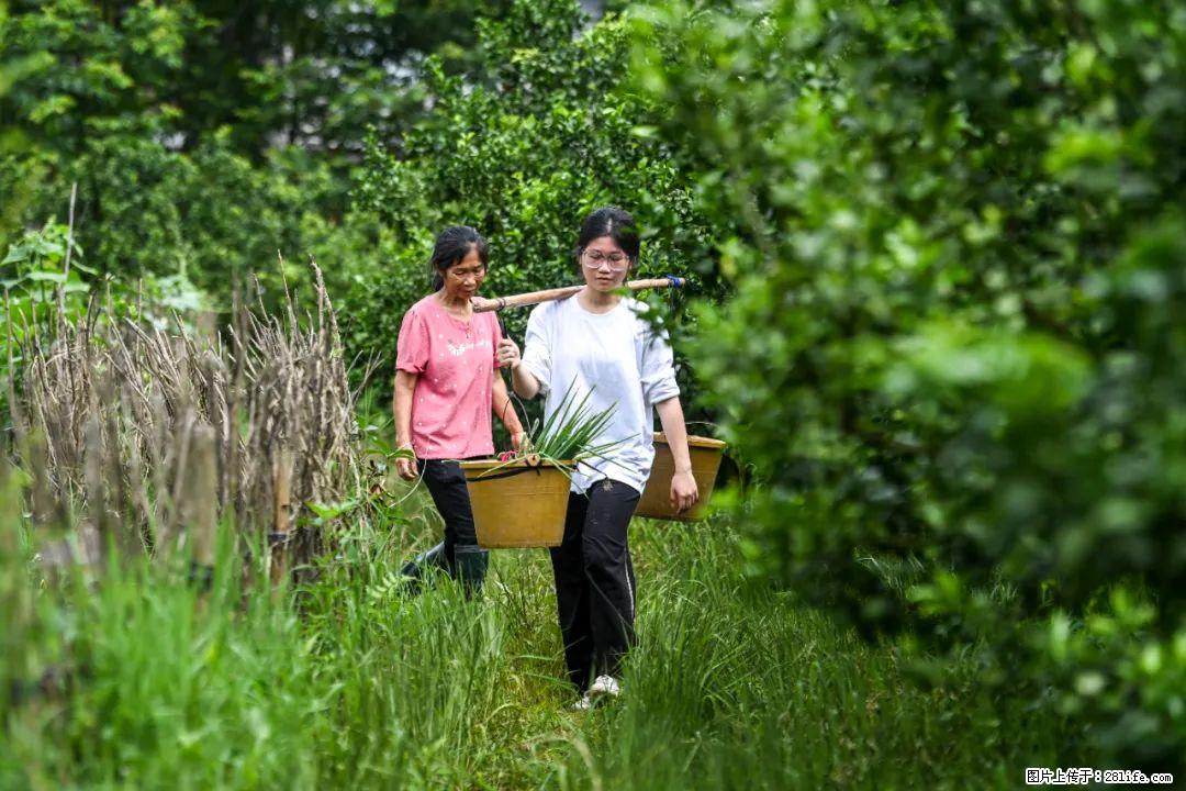 全网追的“扁担女孩”，找了一份暑假工，时薪12元 - 玉树生活资讯 - 玉树28生活网 ys.28life.net
