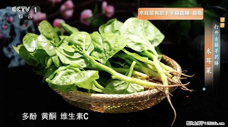 比牛奶补钙还厉害！凉血解毒、稳血糖...这菜冬天必吃，很多人却当草 - 玉树生活资讯 - 玉树28生活网 ys.28life.net