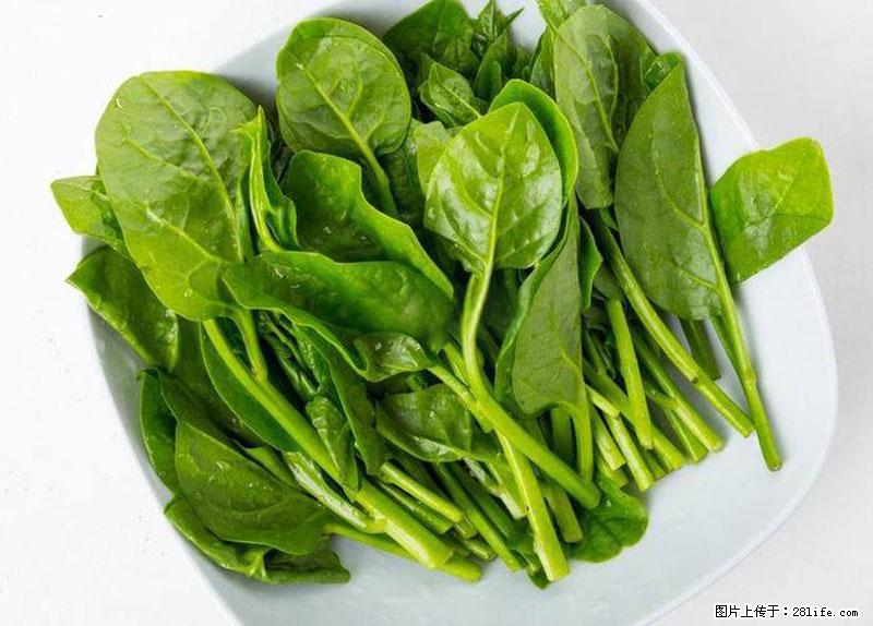 这些蔬菜是“天然钙片”，这6种被医生重点推荐 - 玉树生活资讯 - 玉树28生活网 ys.28life.net