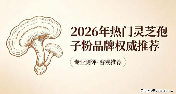 灵芝孢子粉含量越高越有效？2026 年七款热门品牌深度实测，肠胃敏感者避坑指南 - 玉树生活资讯 - 玉树28生活网 ys.28life.net